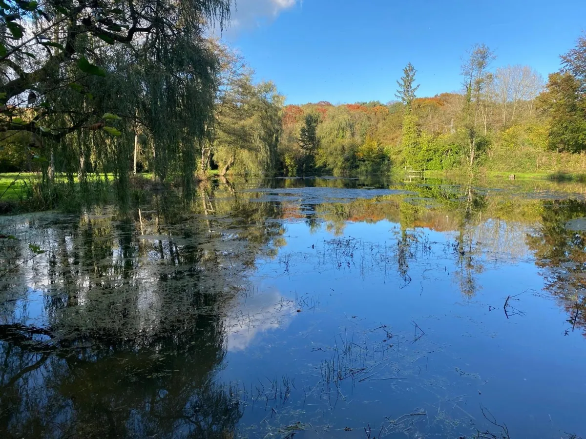 Image de la propriété