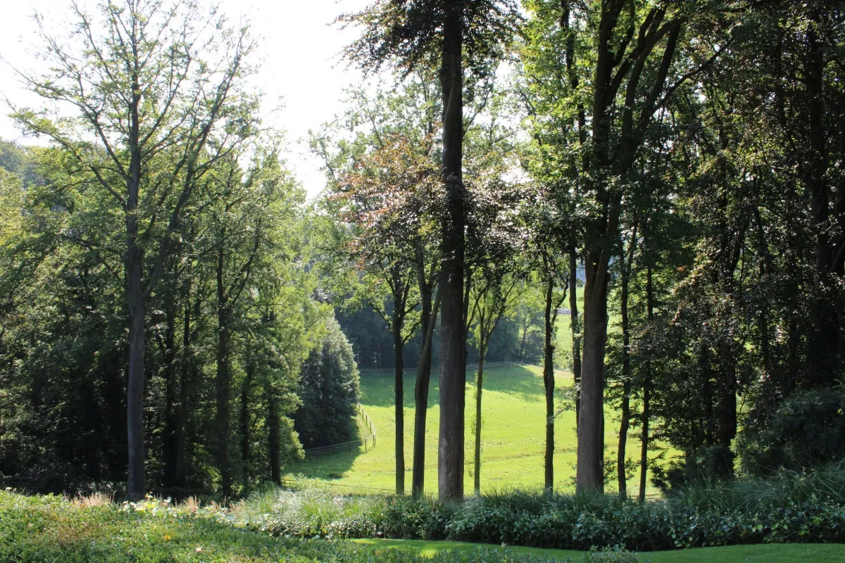 Image de la propriété