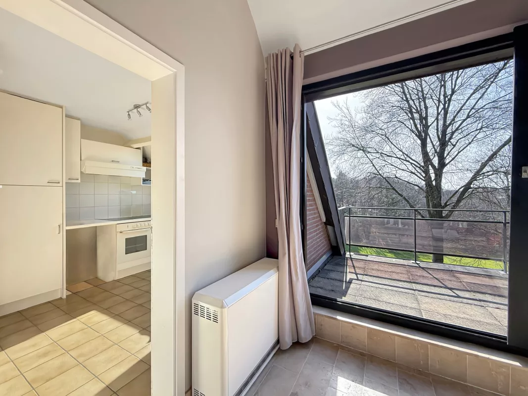 Image de la propriété