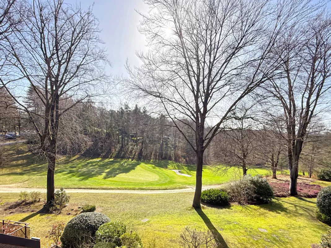 Image de la propriété