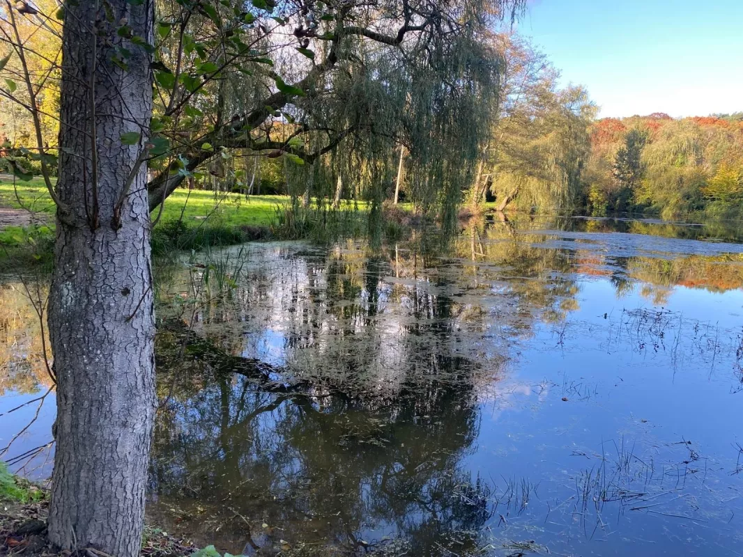 Image de la propriété